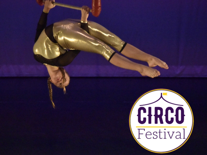 A person wearing a gold bodysuit performing acrobatics for Circo Festival against a purple background