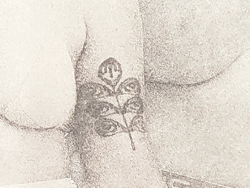 Clothed Until Further Notice