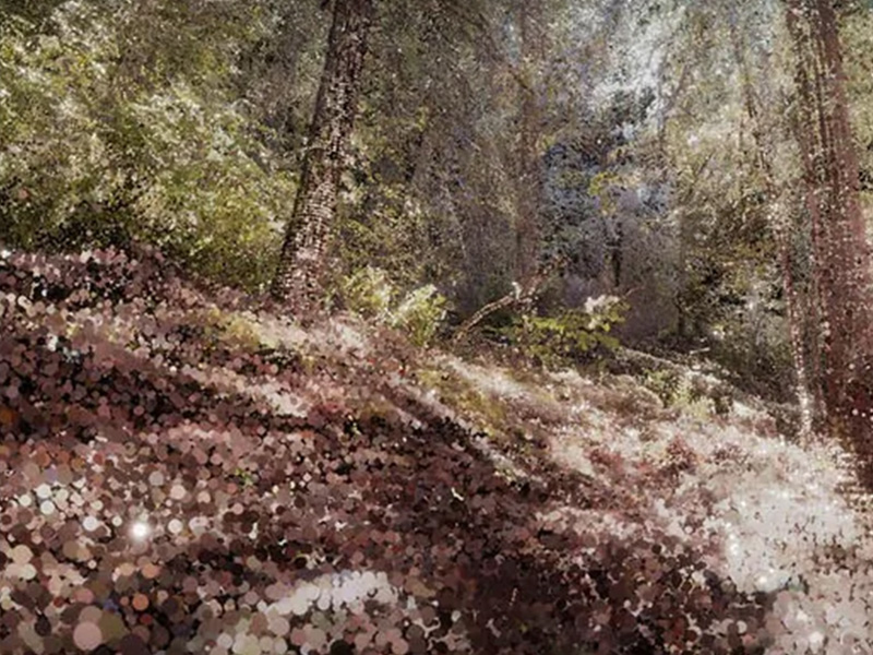 Forest scene with earth and brush in the foreground