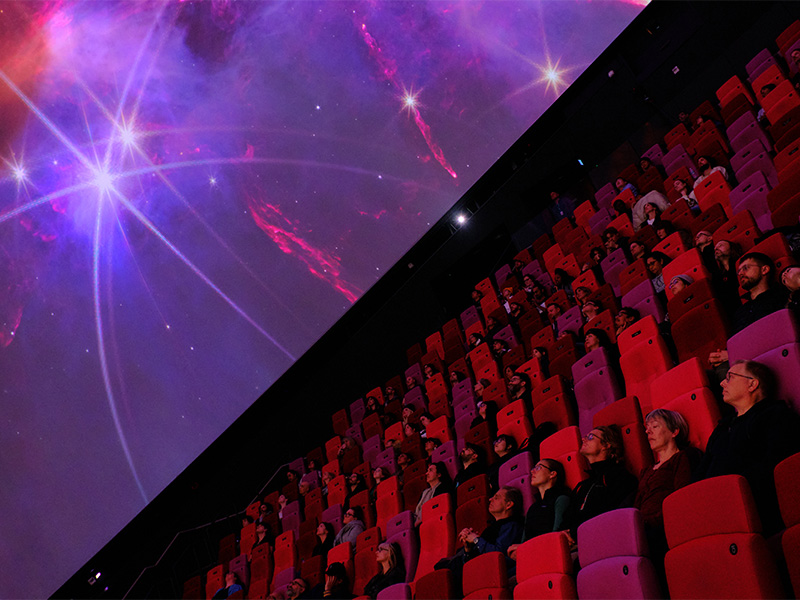 An audience sits in a theatre looking upwards towards a giant screen with purple and pink illuminations